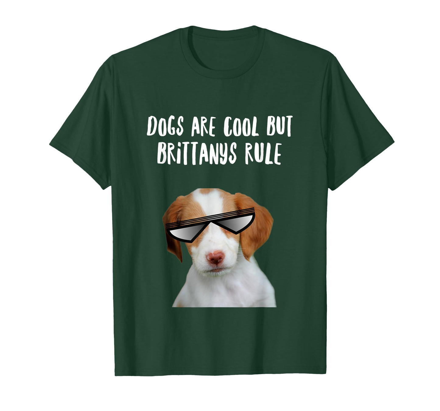 Dogs are Cool But Brittany Spaniels Rule Funny Text T-Shirt