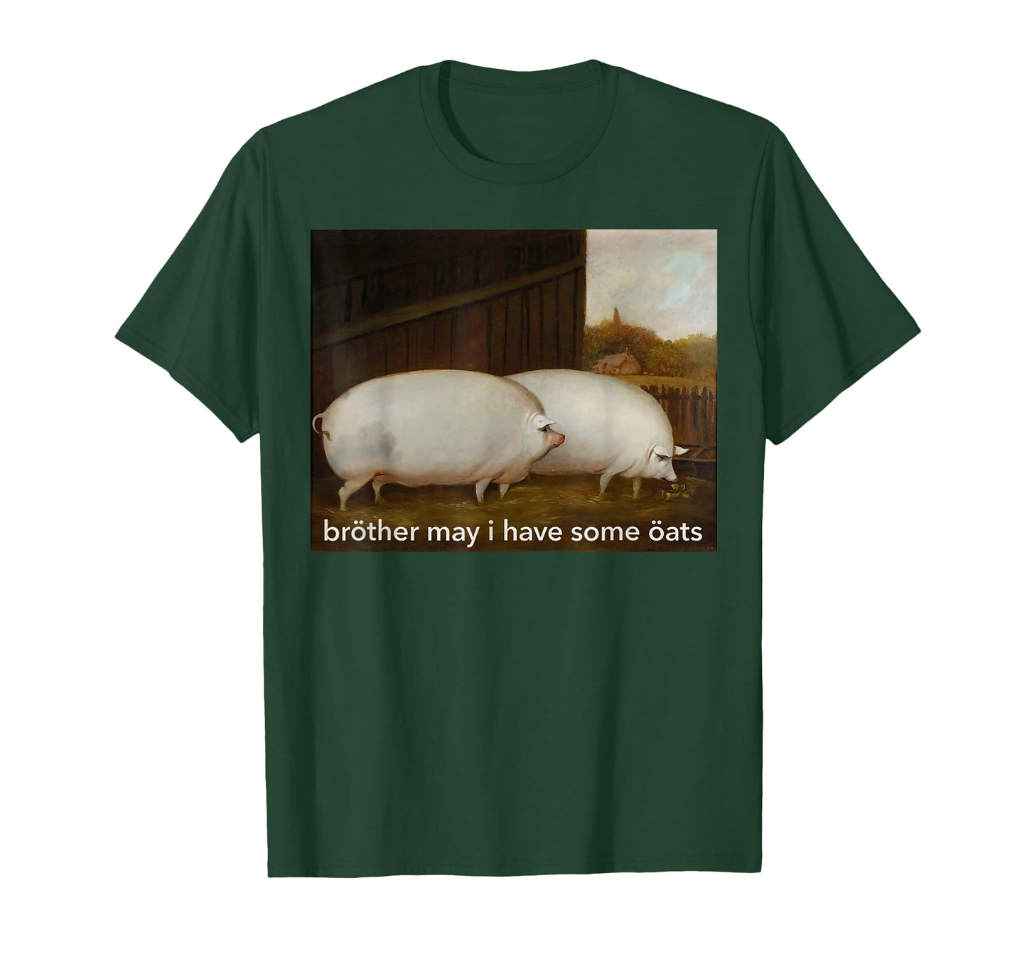 Funny Meme Brother May I Have Some Oats Tee T-Shirt