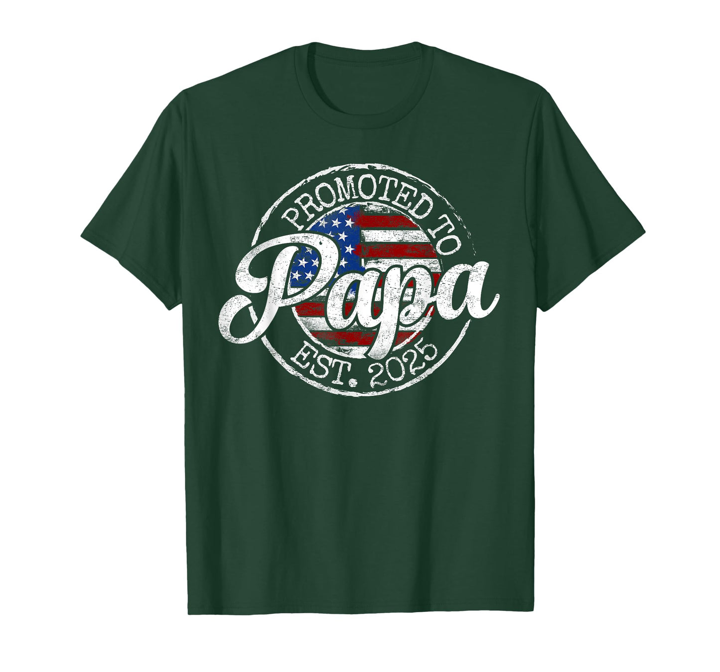 Promoted To Papa Est 2025 Dad To Be Gifts First Time Dad T-Shirt