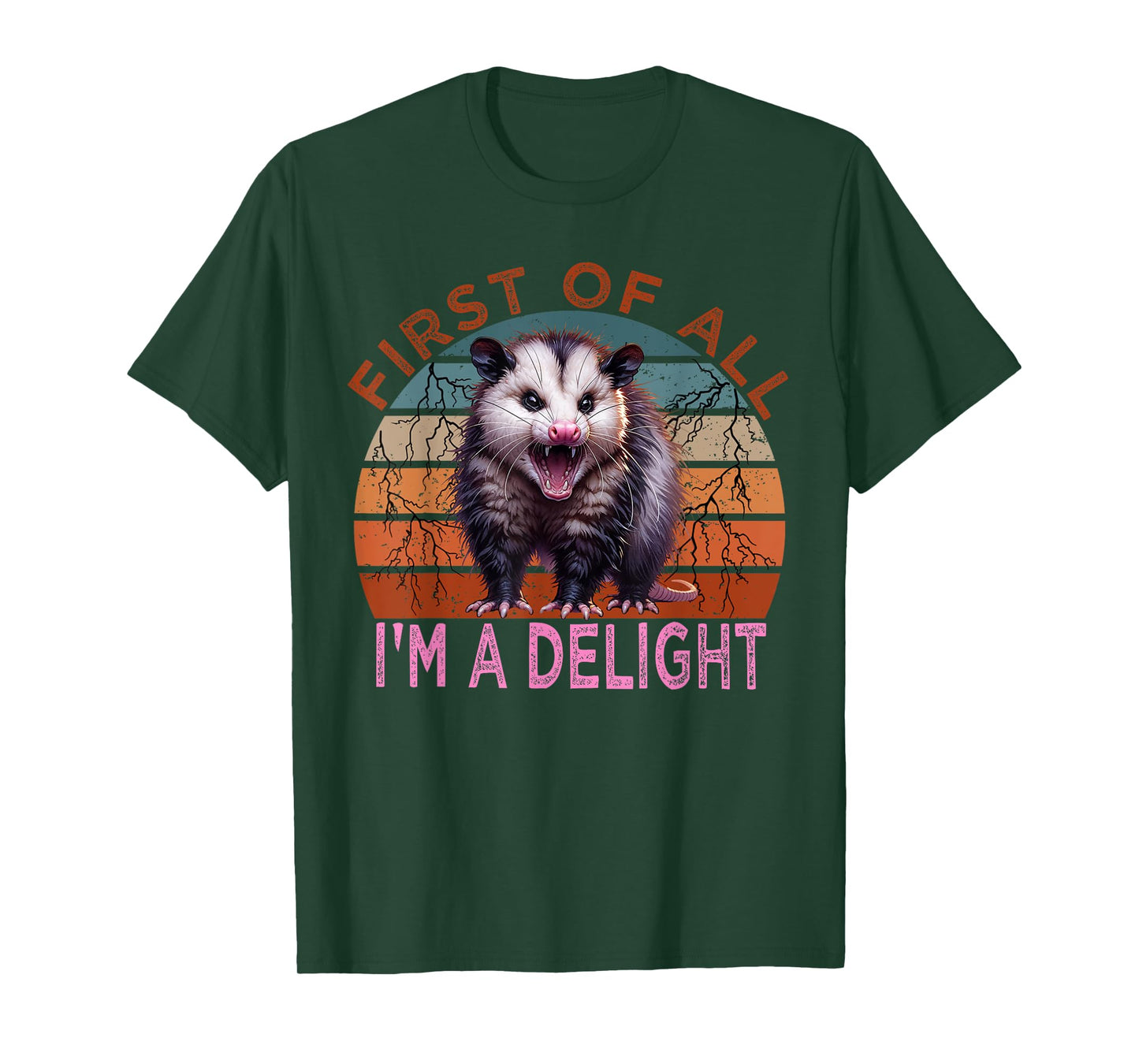 First of all I'm a Delight Sarcastic Angry Possum Lover T-Shirt