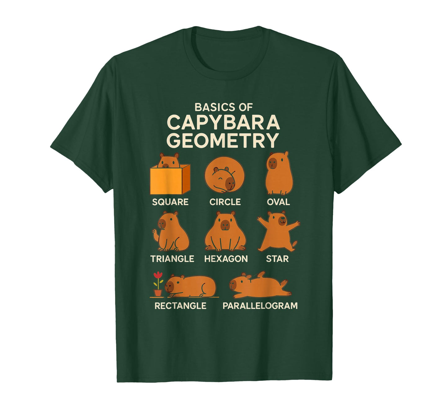 Basic Capybara Geometry Cute Capybara Lover Math School T-Shirt
