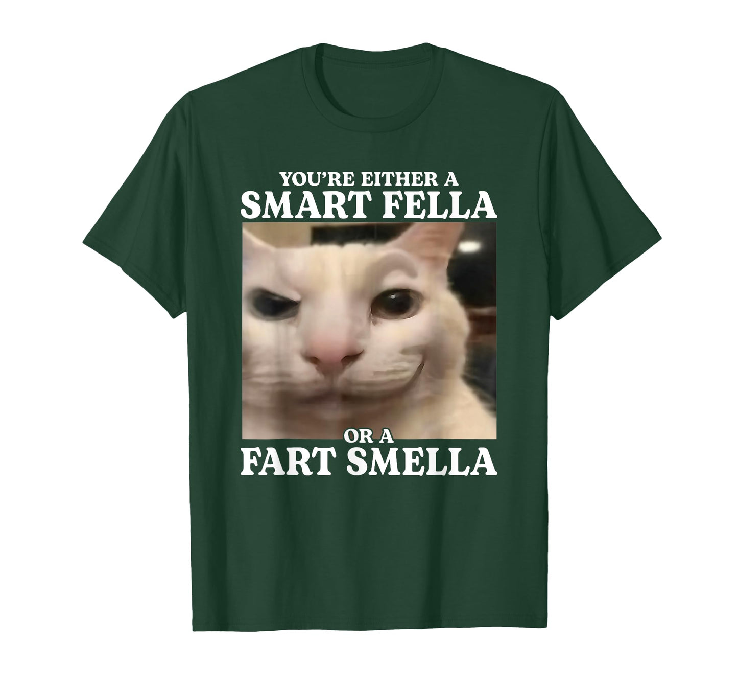 You're Either a Smart Fella or a Fart Smella Funny Cat Meme T-Shirt
