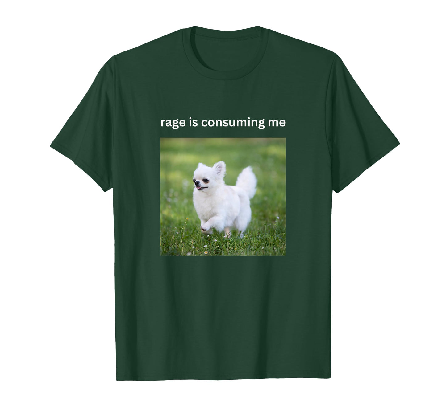 Rage Is Consuming Me Funny Cute Chihuahua Dog Silly Meme T-Shirt