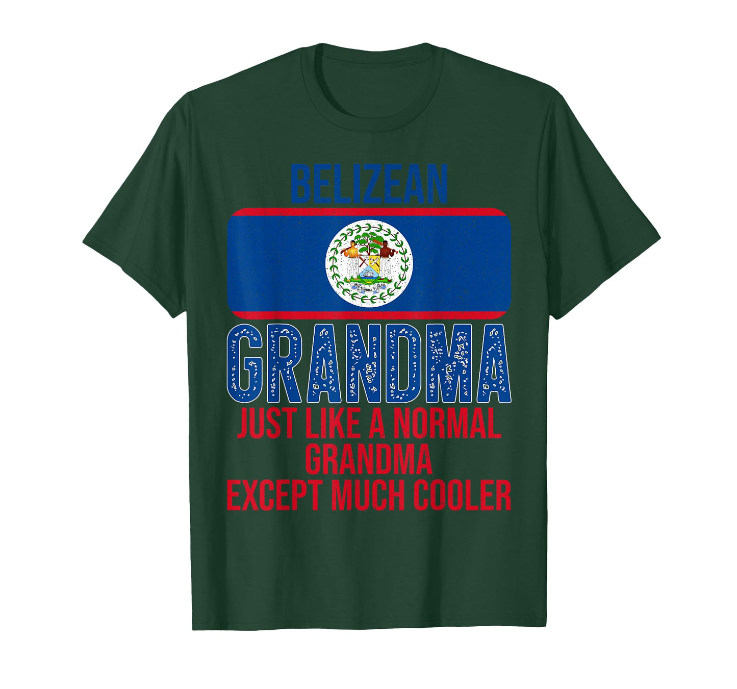 Vintage Belizean Grandma Belize Flag for Mother's Day T-Shirt