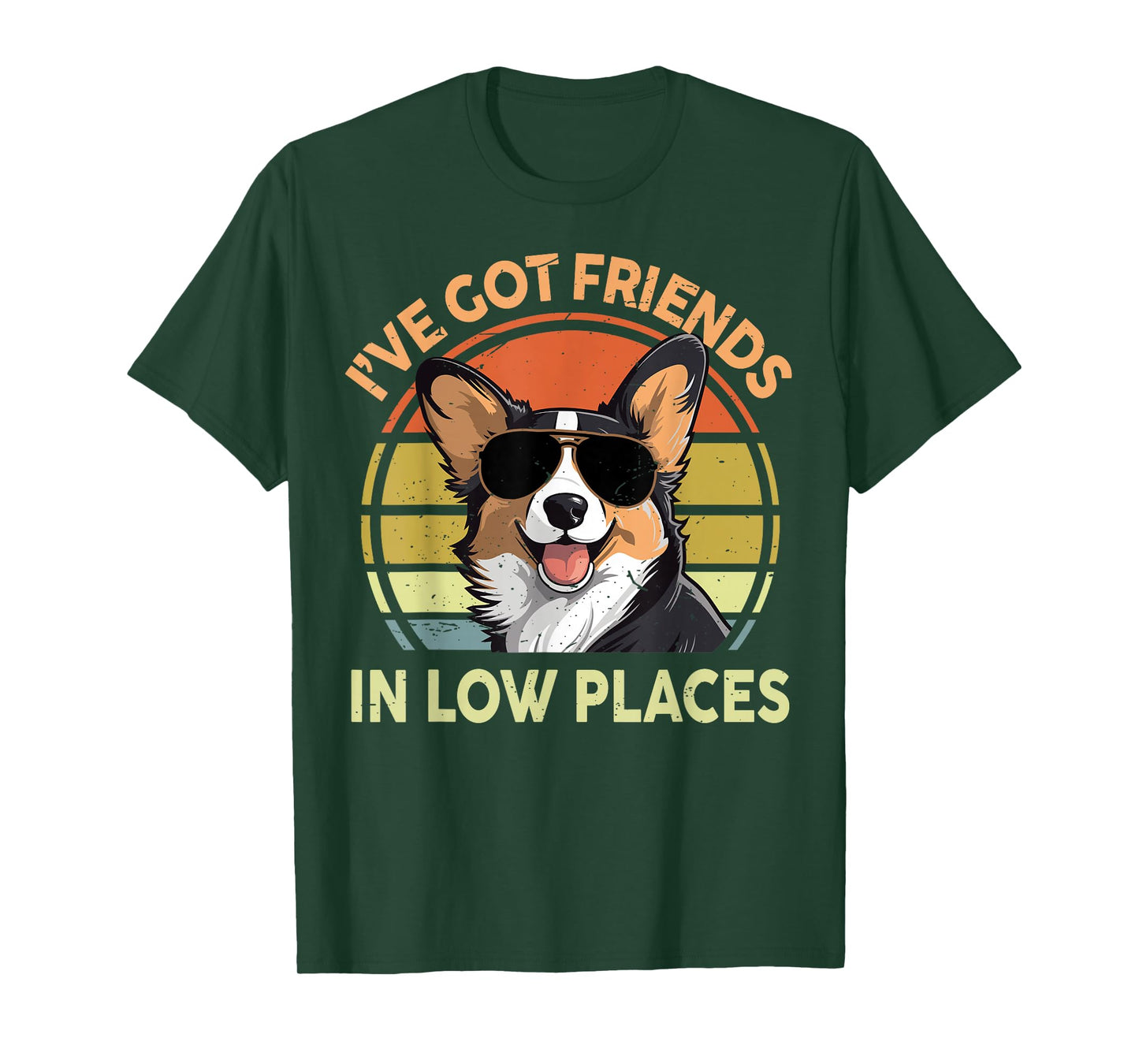 Funny Corgi I've Got Friends Low Places Corgi Gift for Lover T-Shirt