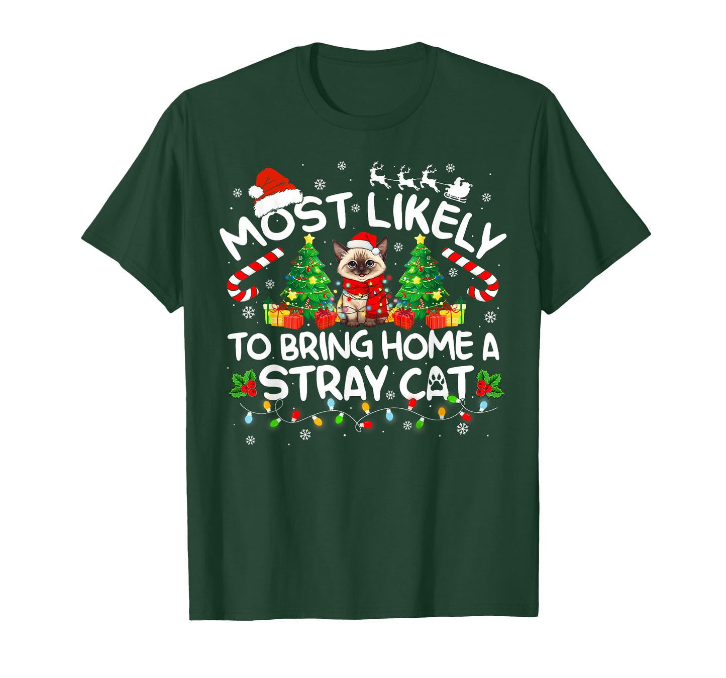 Most Likely To Bring Home A Stray Cat Matching Christmas T-Shirt for Men Women Kids