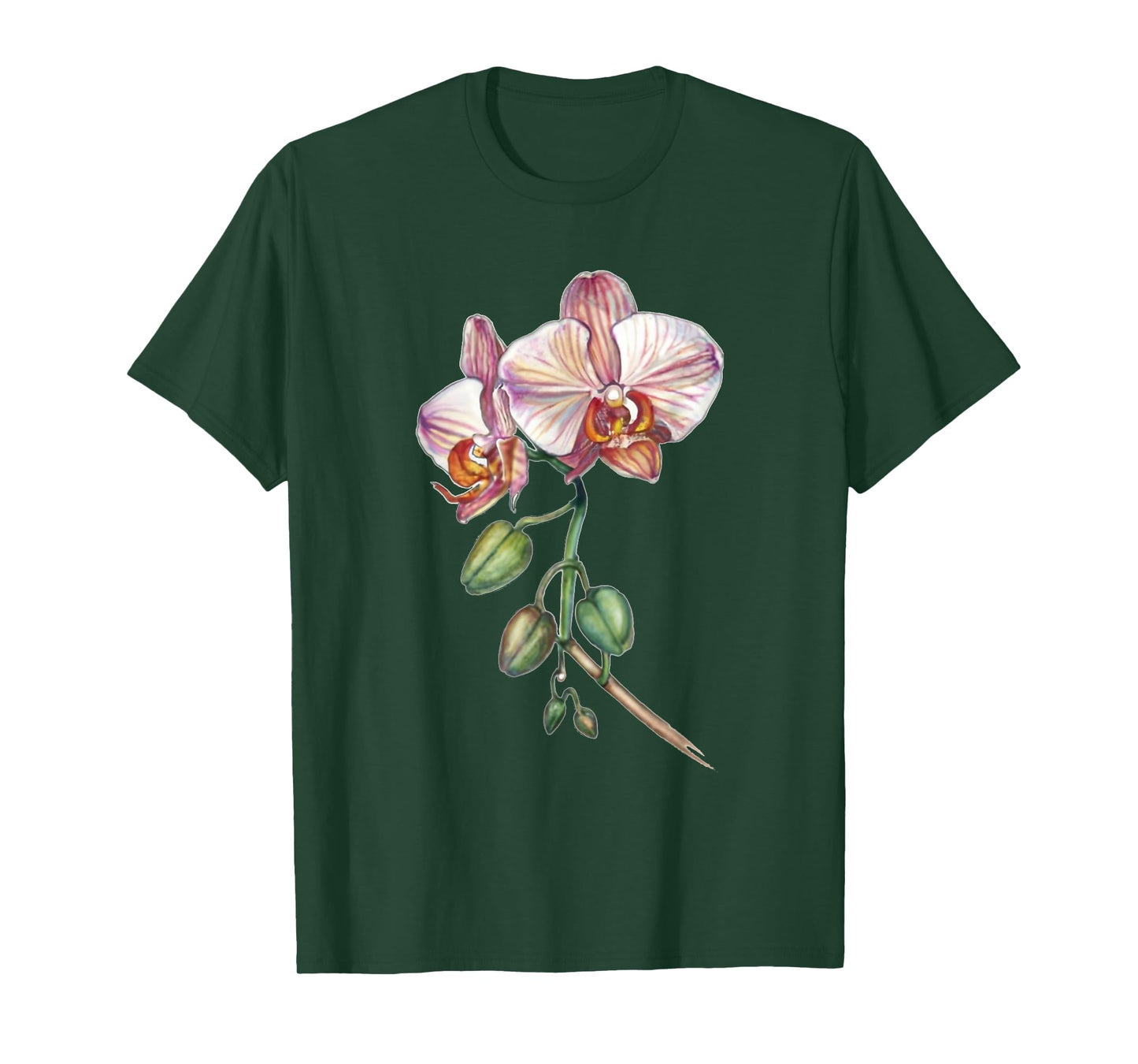 Orchid, butterfly orchid, Phalaenopsis spec. buds T-Shirt
