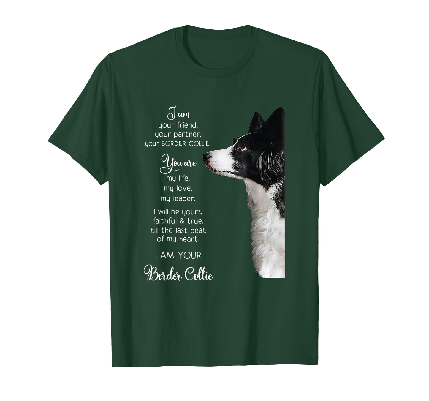 Funny I Am Your Friend Your Partner Your Border Collie Gift T-Shirt
