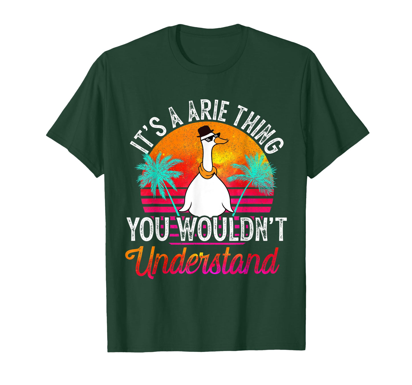 It's A Arie Thing You Wouldn't Understand Funny Arie Name T-Shirt