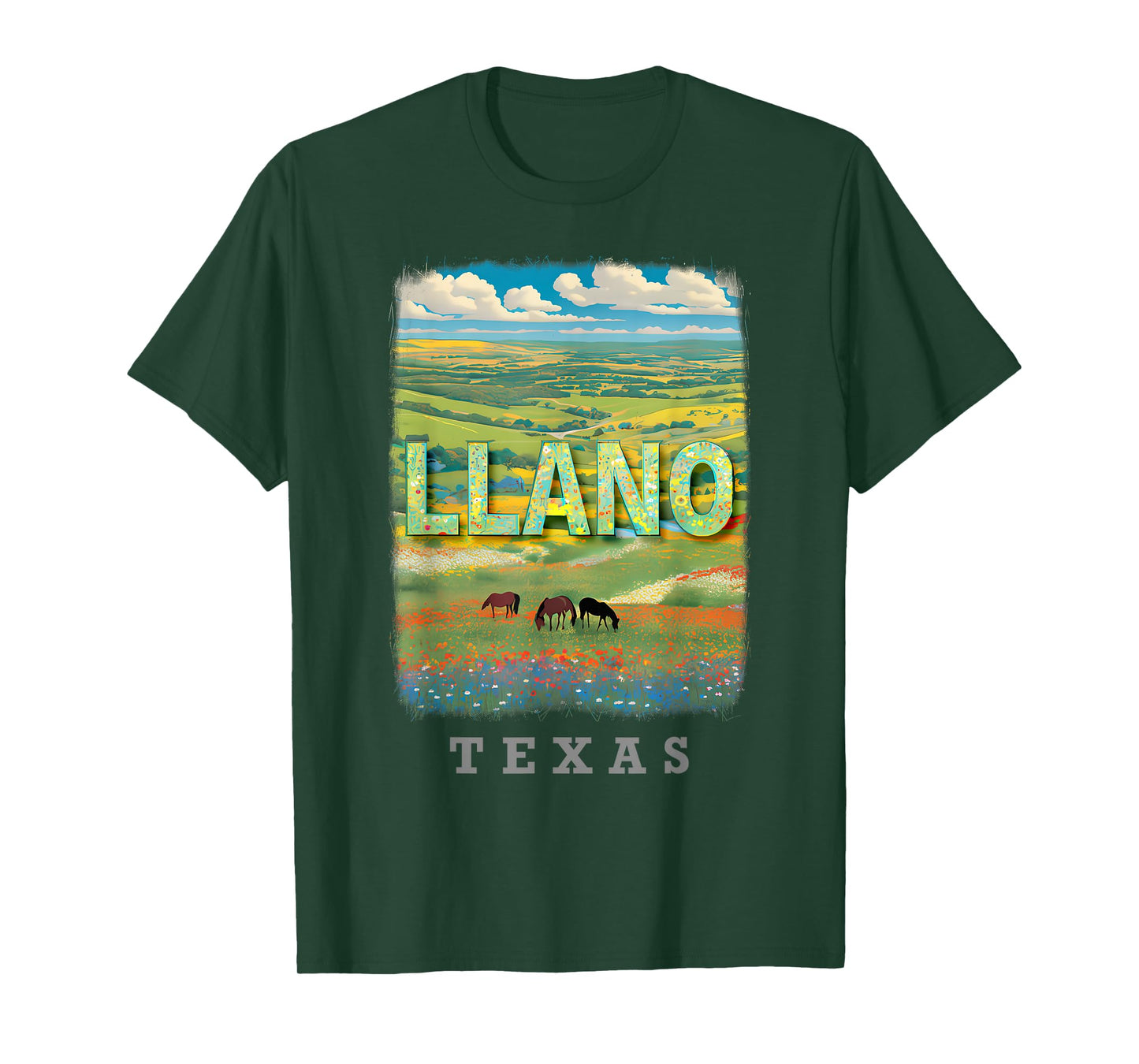 Llano Texas TX Hill Country Charm SD869 T-Shirt