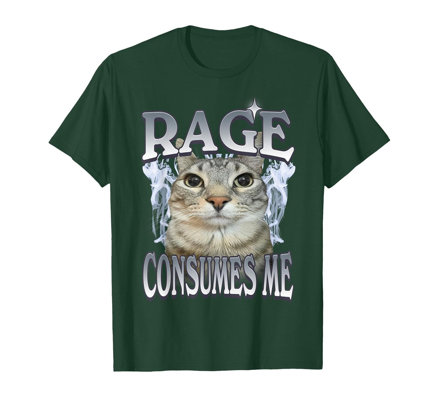 Rage Consumes Me Cat Meme Vintage Feline Funny Artwork T-Shirt