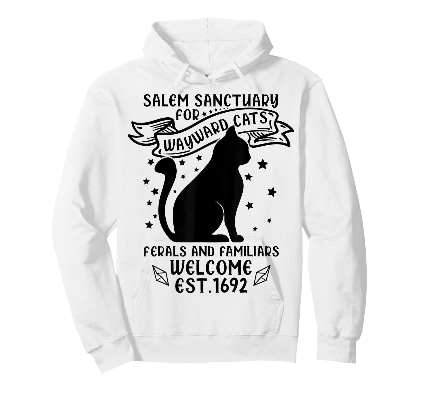 Funny Witch Salem Home for Wayward Black Cats 1692 Halloween T-Shirt