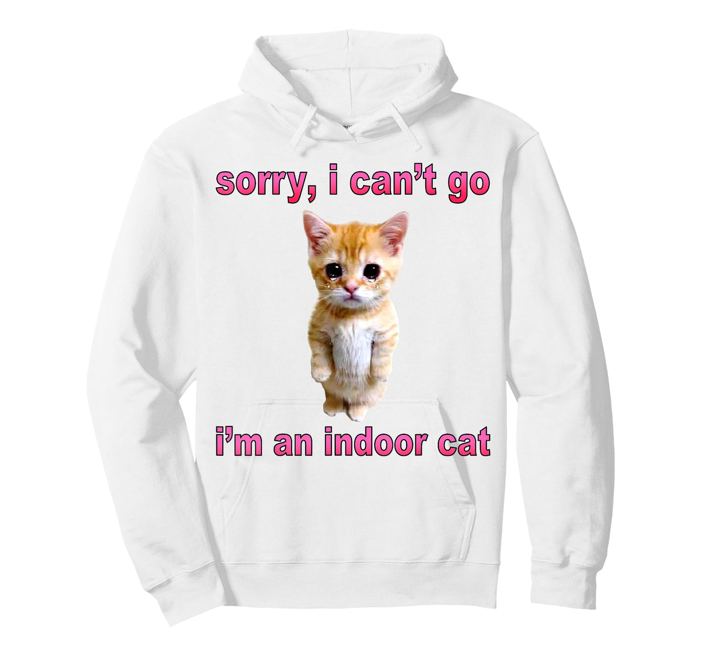 Sorry I Can't Go I'm an Indoor Cat Funny Saying Women Men T-Shirt