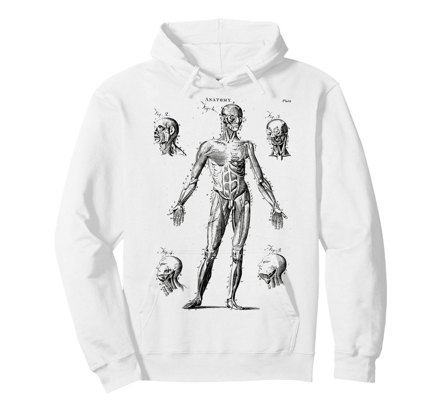 Human Muscle Anatomy Medical Anatomy T-Shirt