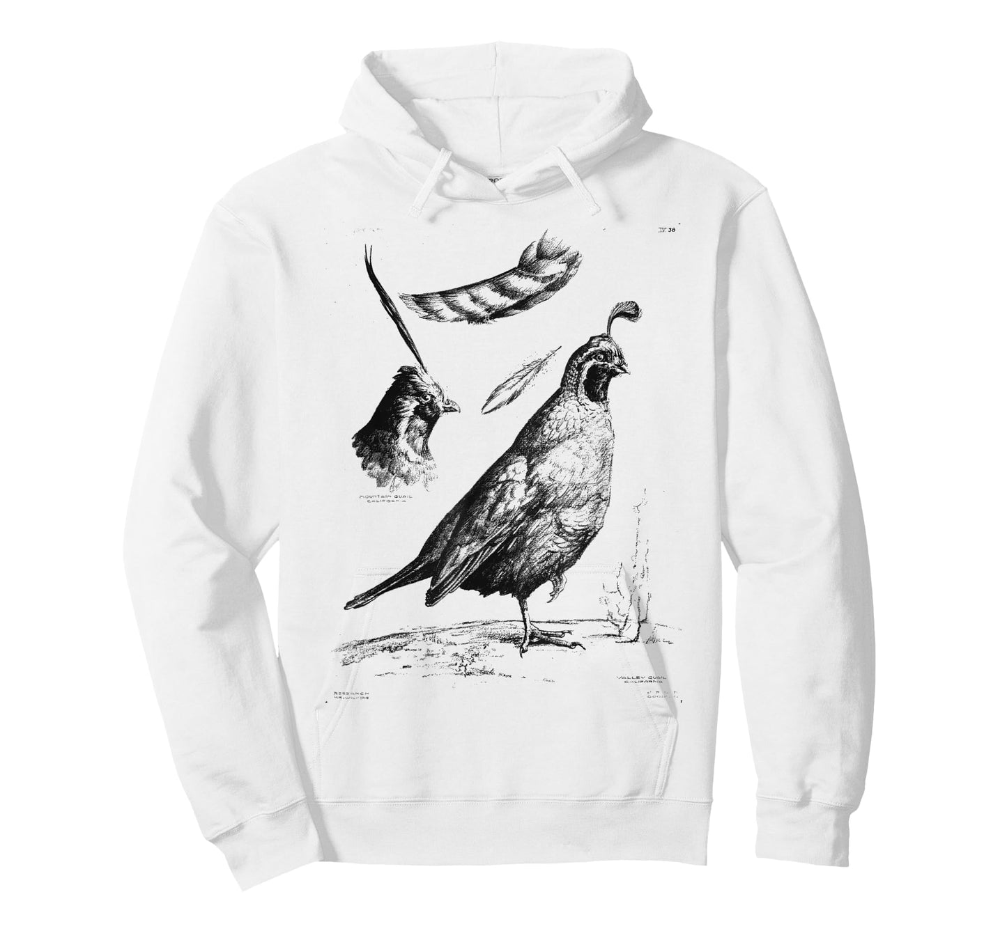 California Quail CA Quail Birder Vintage California Quail T-Shirt