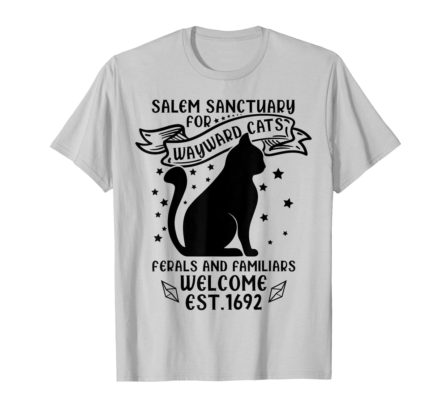 Funny Witch Salem Home for Wayward Black Cats 1692 Halloween T-Shirt