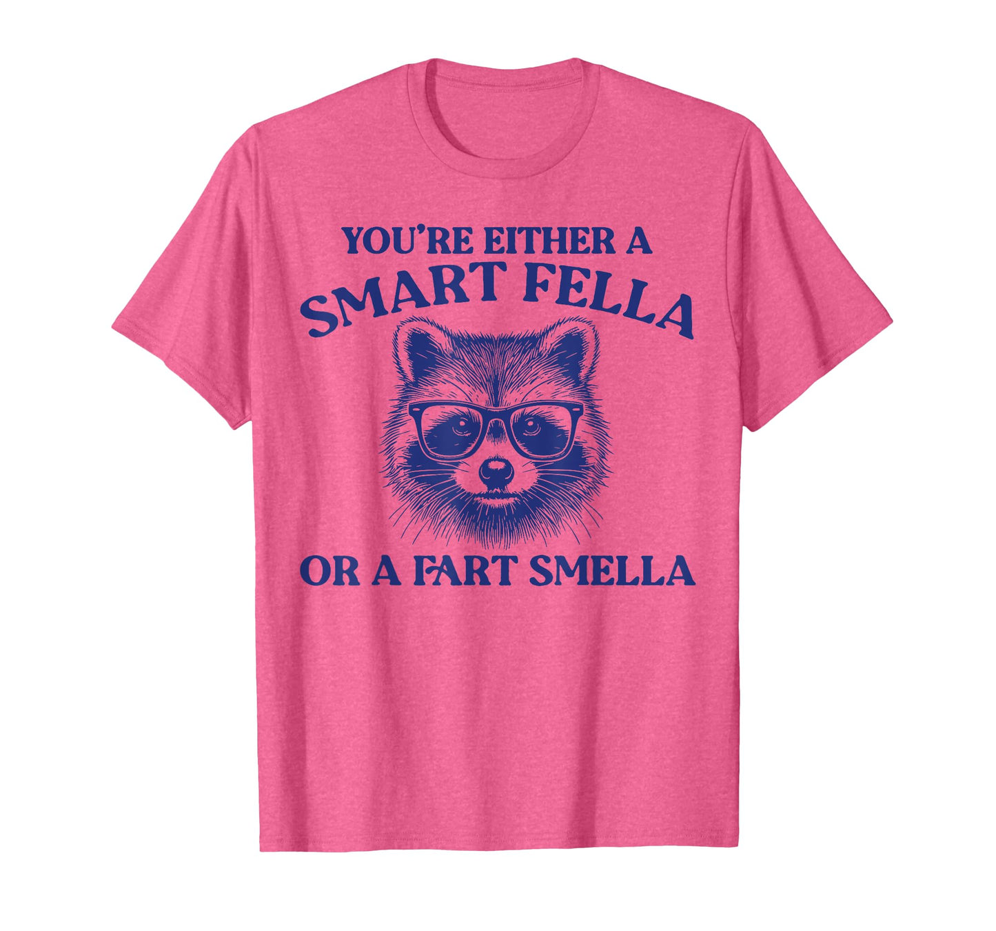 You're Either A Smart Fella Or A Fart Smella Vintage Raccoon T-Shirt