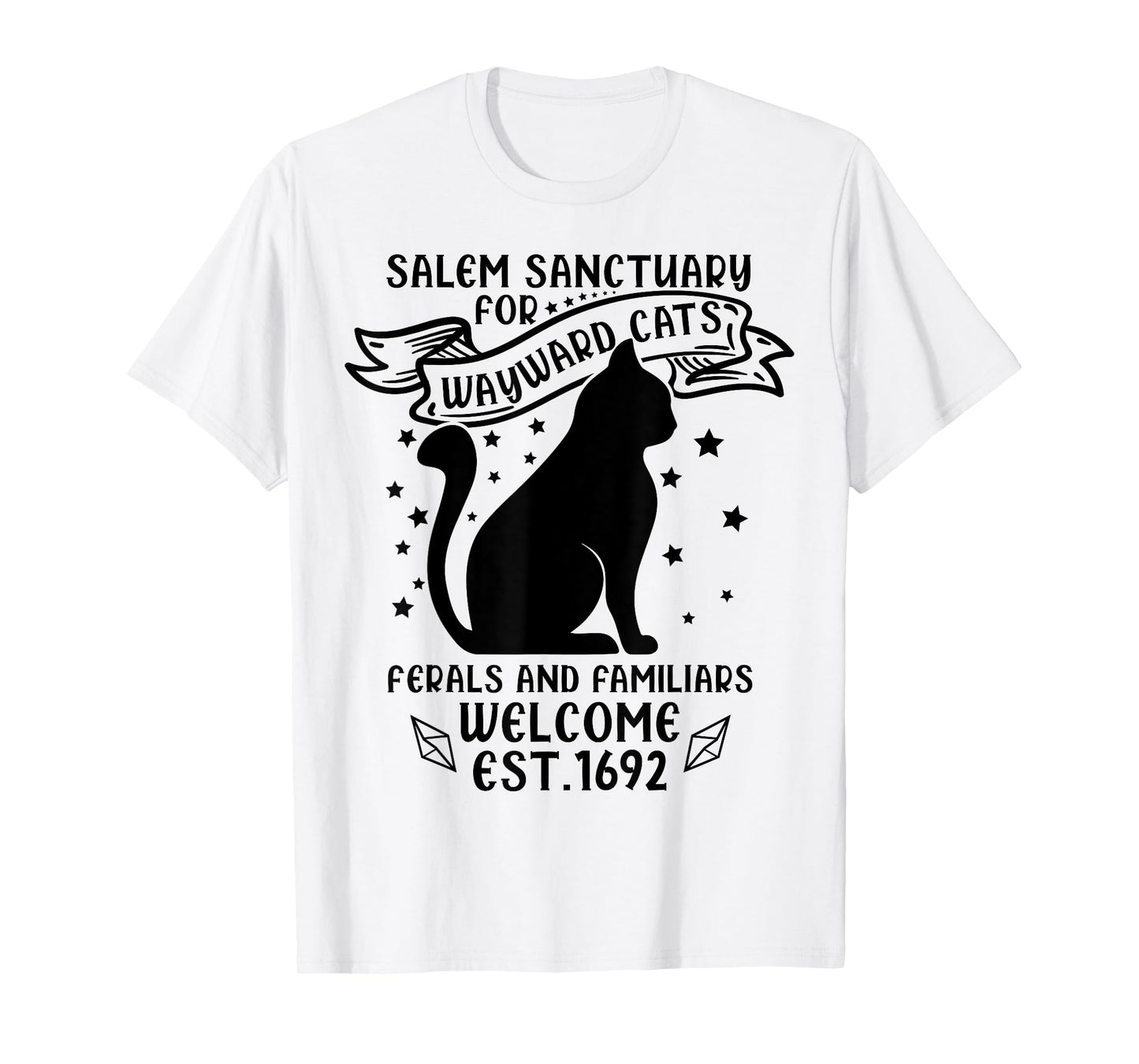 Funny Witch Salem Home for Wayward Black Cats 1692 Halloween T-Shirt