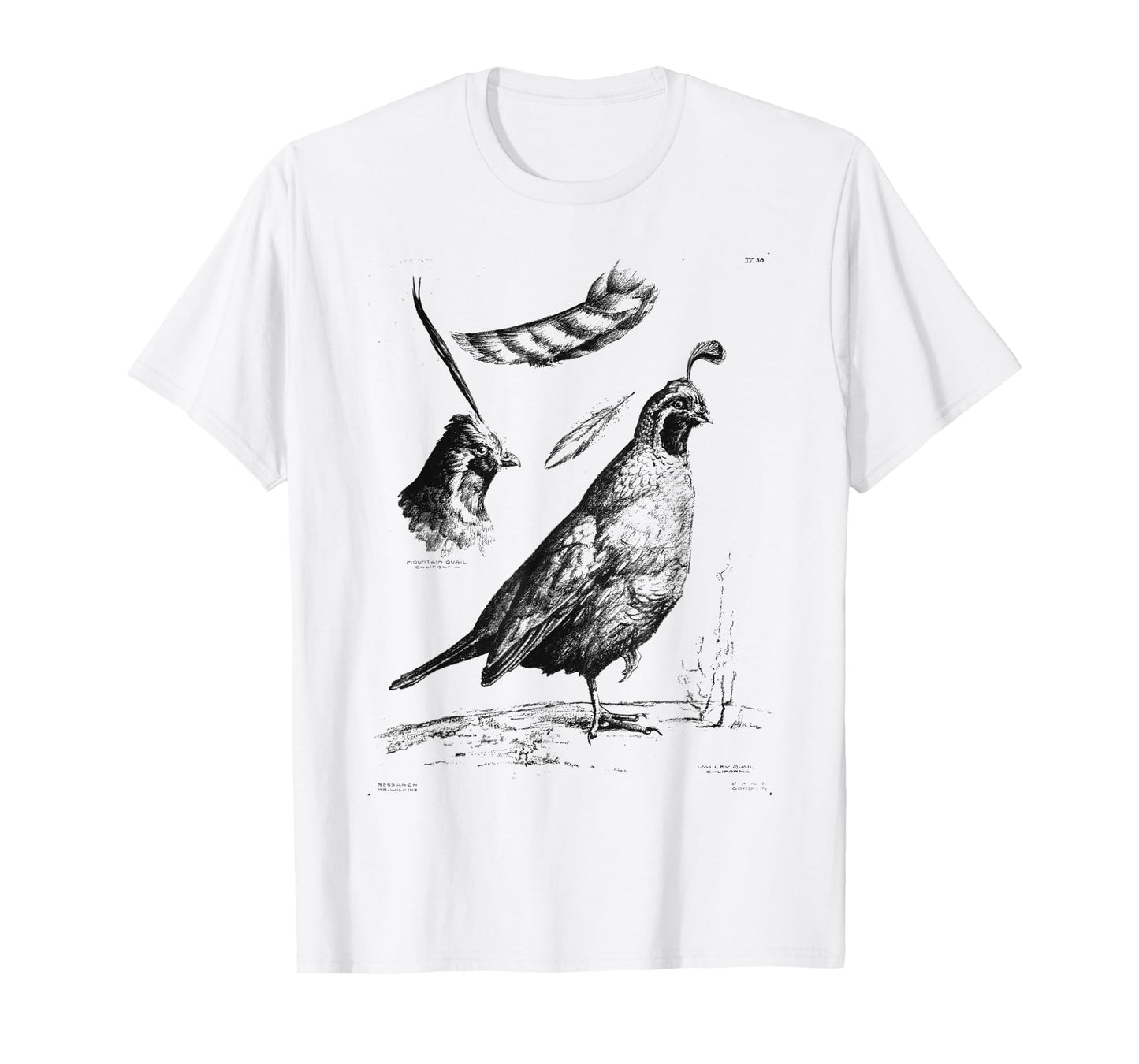 California Quail CA Quail Birder Vintage California Quail T-Shirt