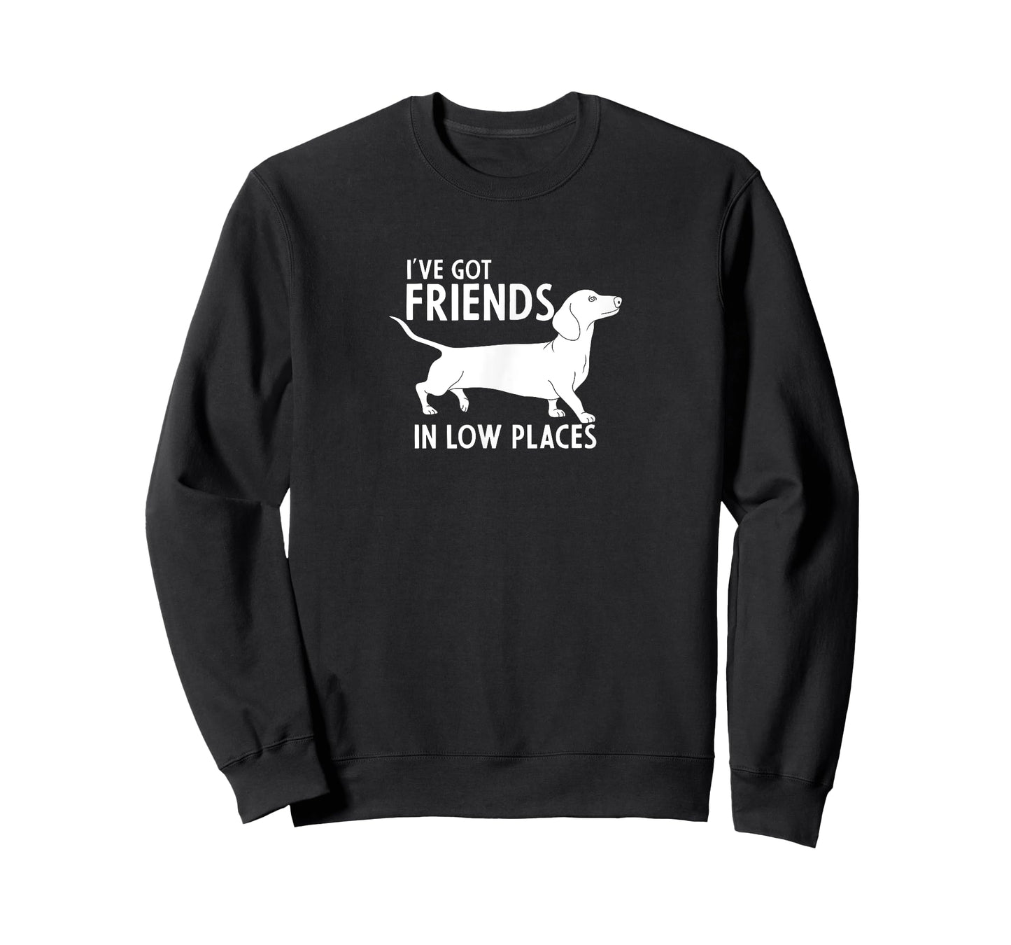 Dachshund I've Got Friends in Low Places Cute Dog Lover T-Shirt