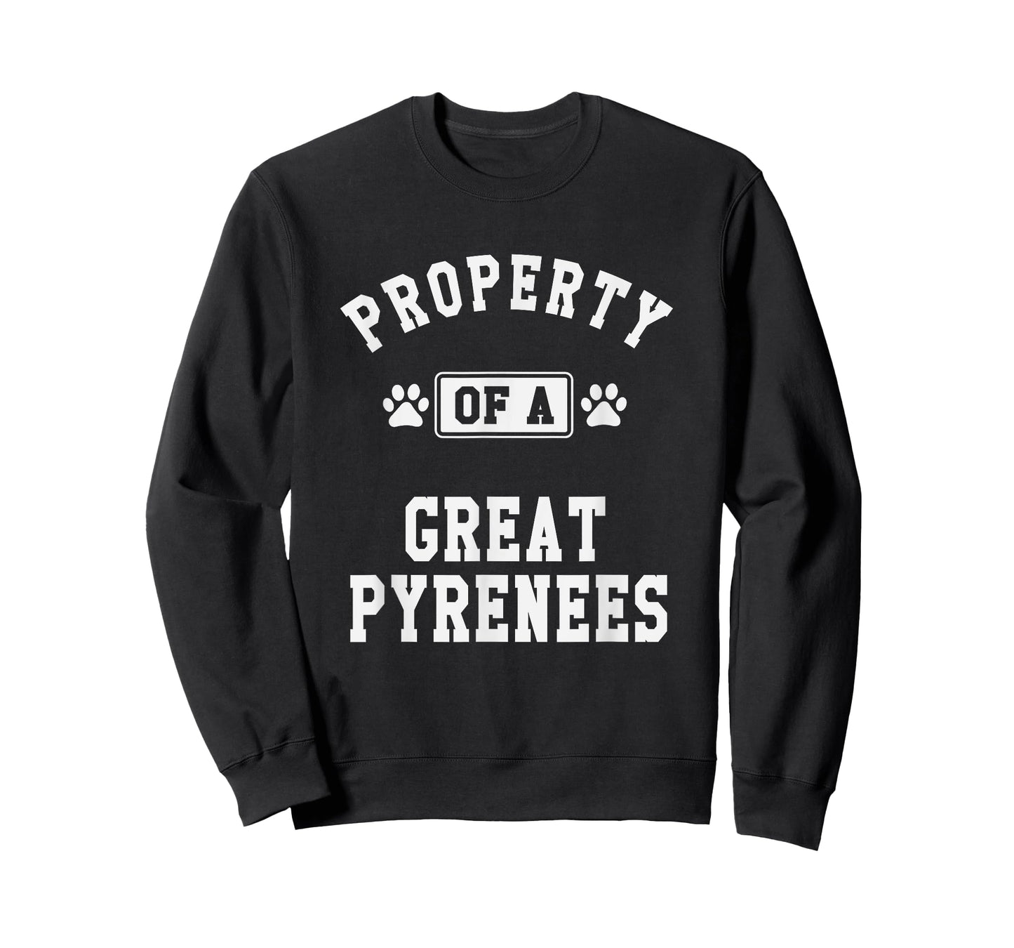 Property of Great Pyrenees - Funny Pyrenees Dog Lover Shirt T-Shirt for Men Women Girls Kids