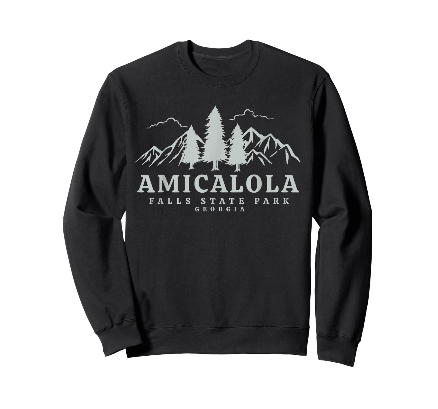 Amicalola Falls Park T-Shirt