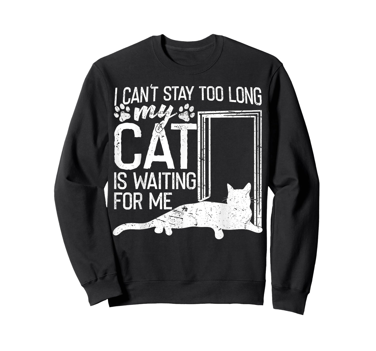 I Can't Stay Too Long. My Cat is Waiting For Me Cat Lover T-Shirt for Men Women Kids