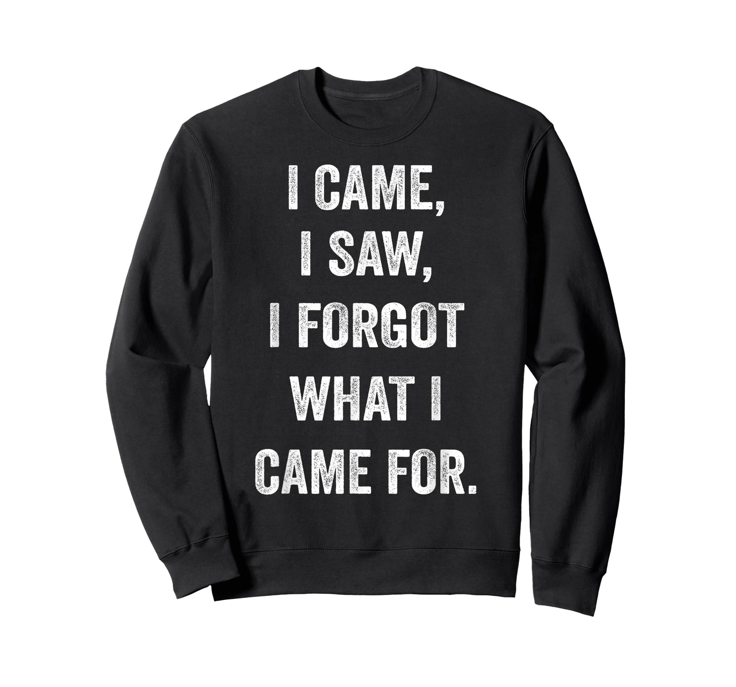 I came, I saw, I forgot what I came for funny novel sarcasm T-Shirt