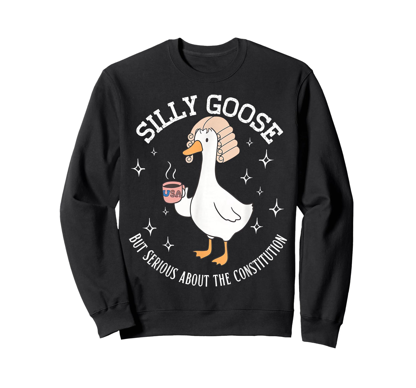 Silly Goose Constitution Funny History Teacher Middle School T-Shirt