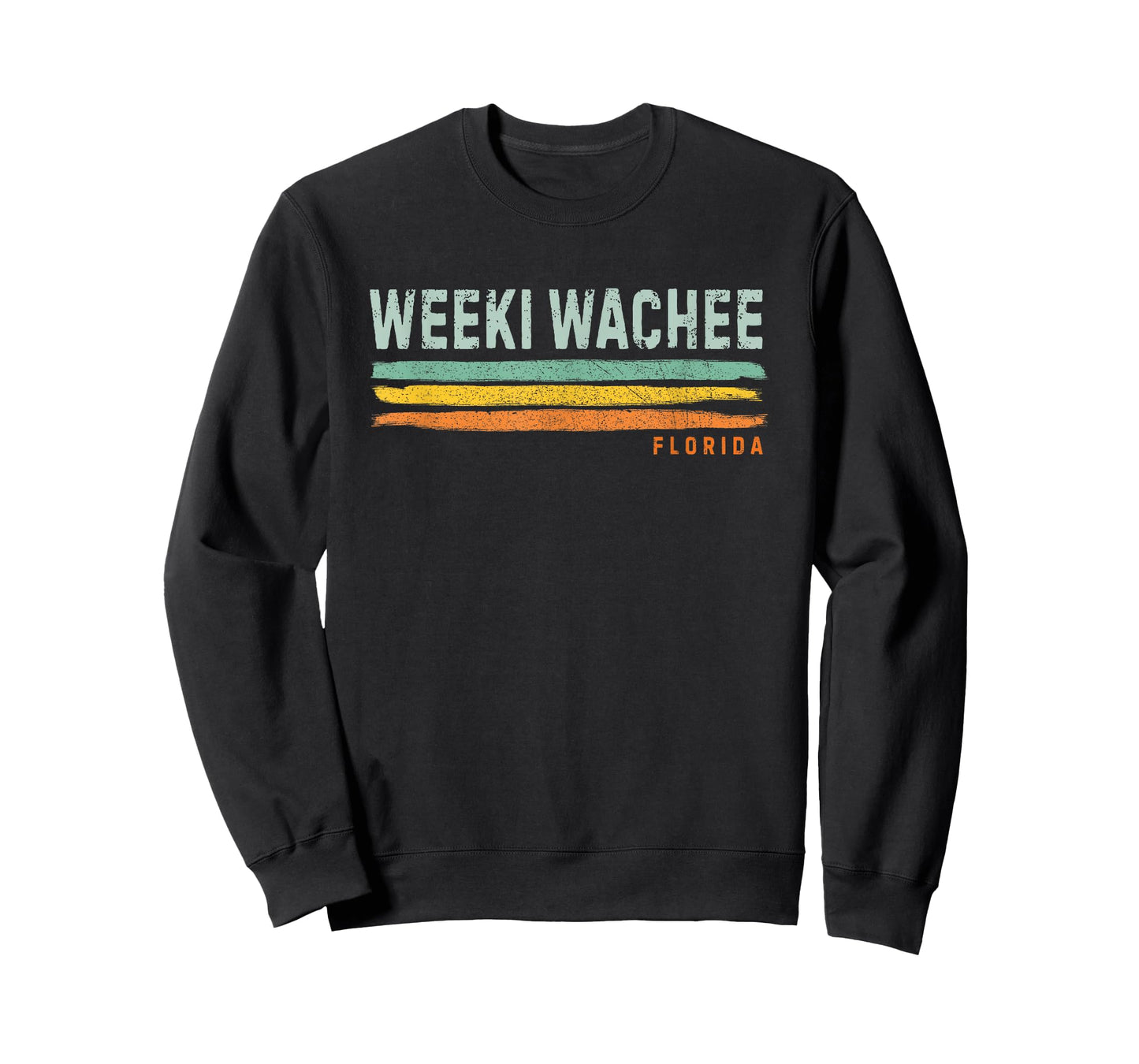 Vintage Stripes Weeki Wachee FL T-Shirt