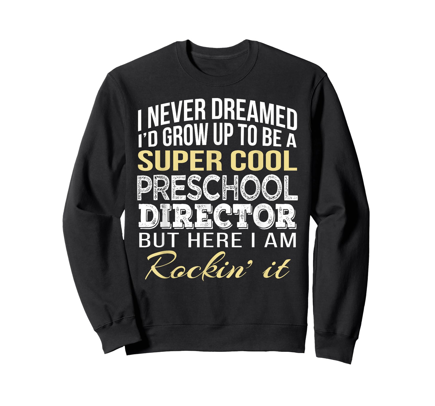 Preschool Director T Shirt Funny Gift Tee