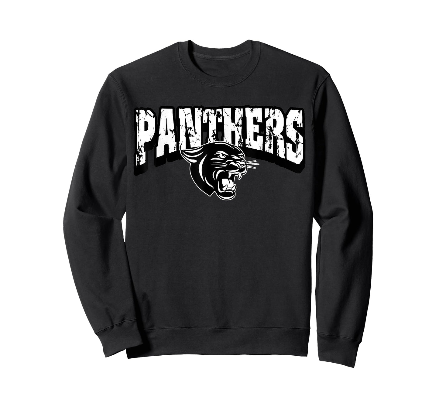 Panthers Back to School Spirit T-Shirt