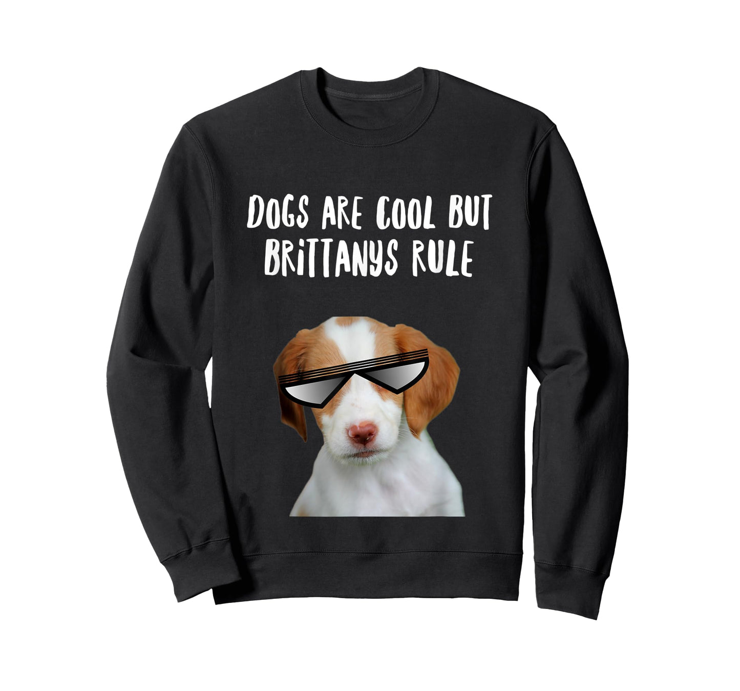 Dogs are Cool But Brittany Spaniels Rule Funny Text T-Shirt