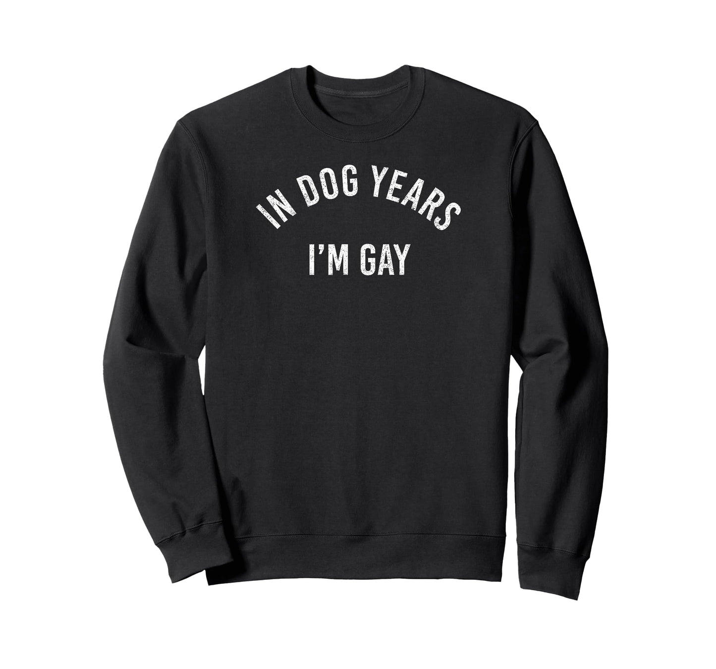 In Dog Years I'm Gay Funny LGBTQ Pride T-Shirt