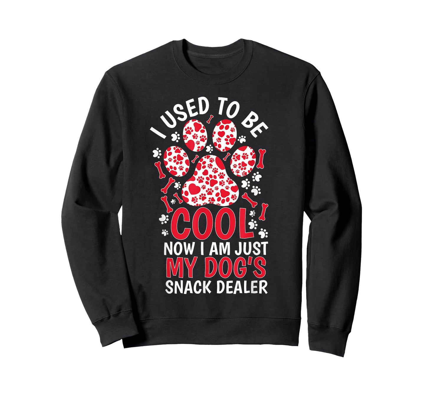 i used to be so cool now i'm just my dogs snack dealer women T-Shirt