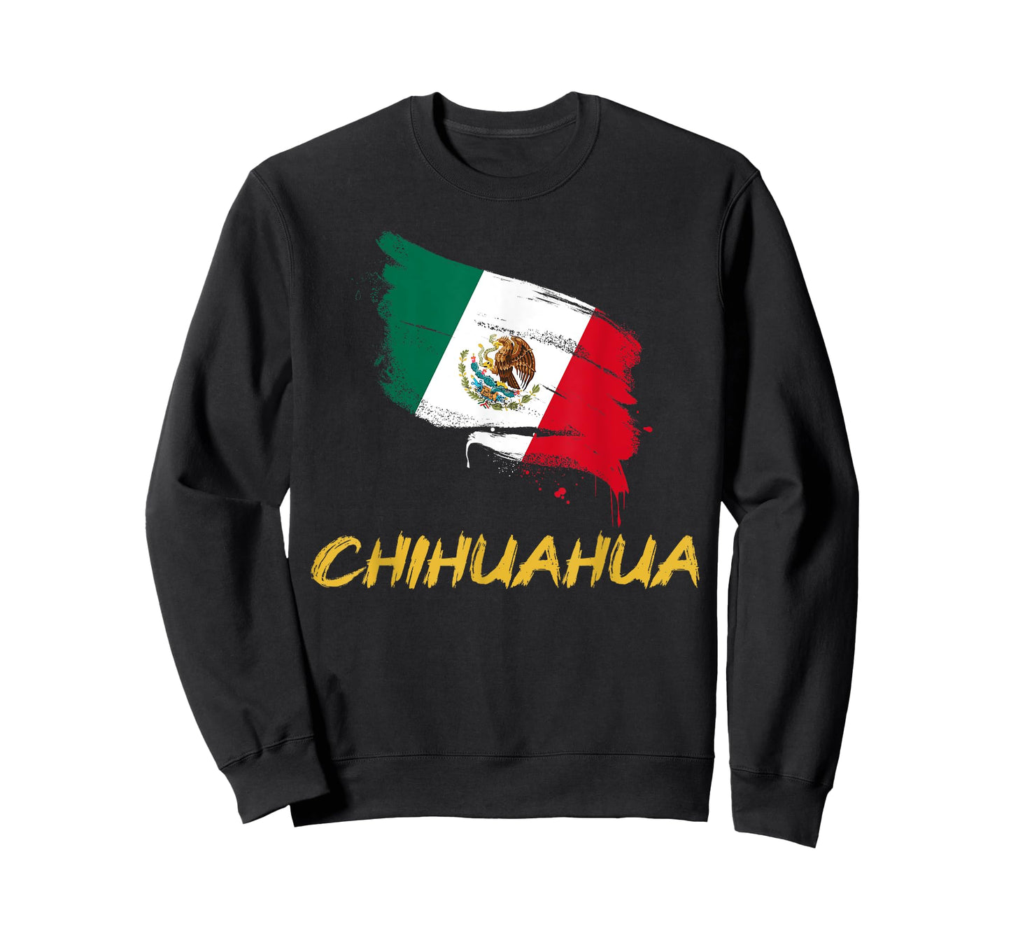Chihuahua Mexico MX Mexican Heritage Flag Paint Stroke T-Shirt
