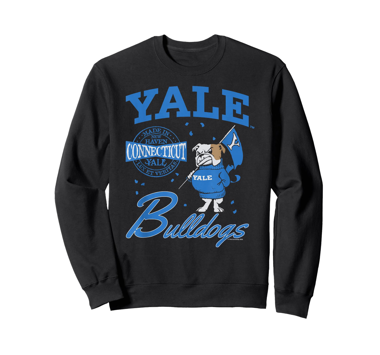 Yale University Made in New Haven Connecticut Handsome Dan T-Shirt