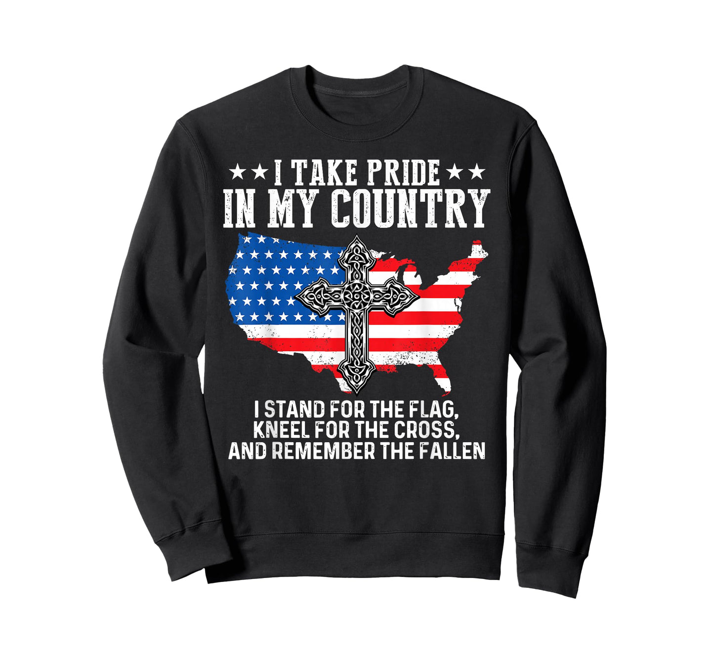 I Take Pride In My Country USA Flag 4th July Patriotic Tee T-Shirt