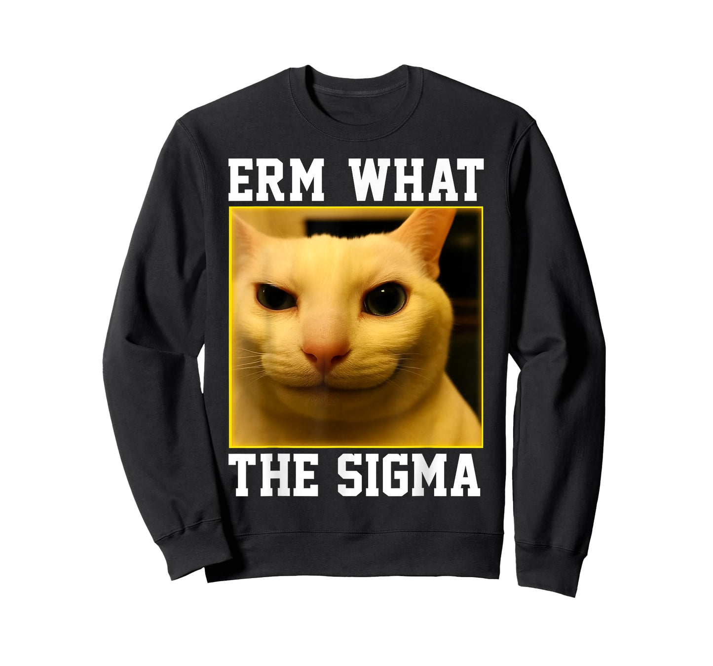 HUGvyn Funny Meme Cat: Erm, What The Sigma Silly Cat Humor T-Shirt