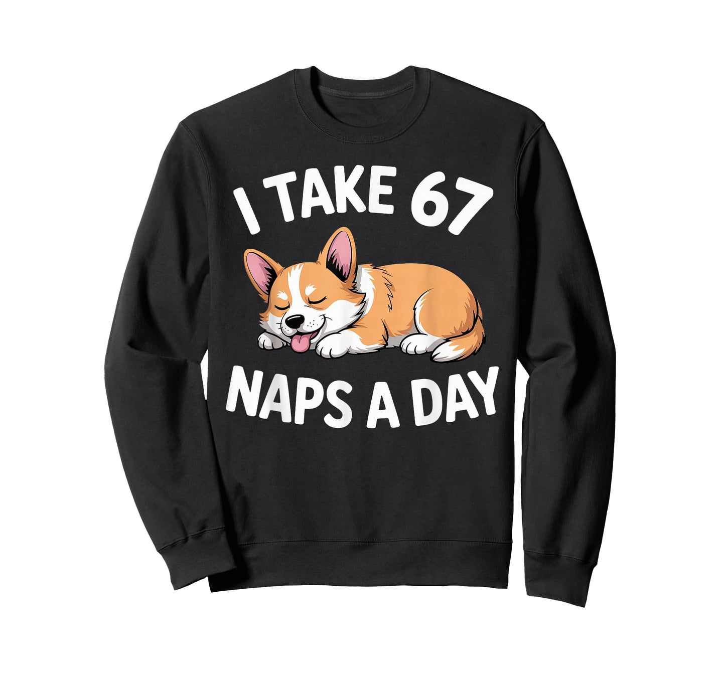I Take 67 Naps A Day Funny Dog Corgi Six Seven Meme T-Shirt