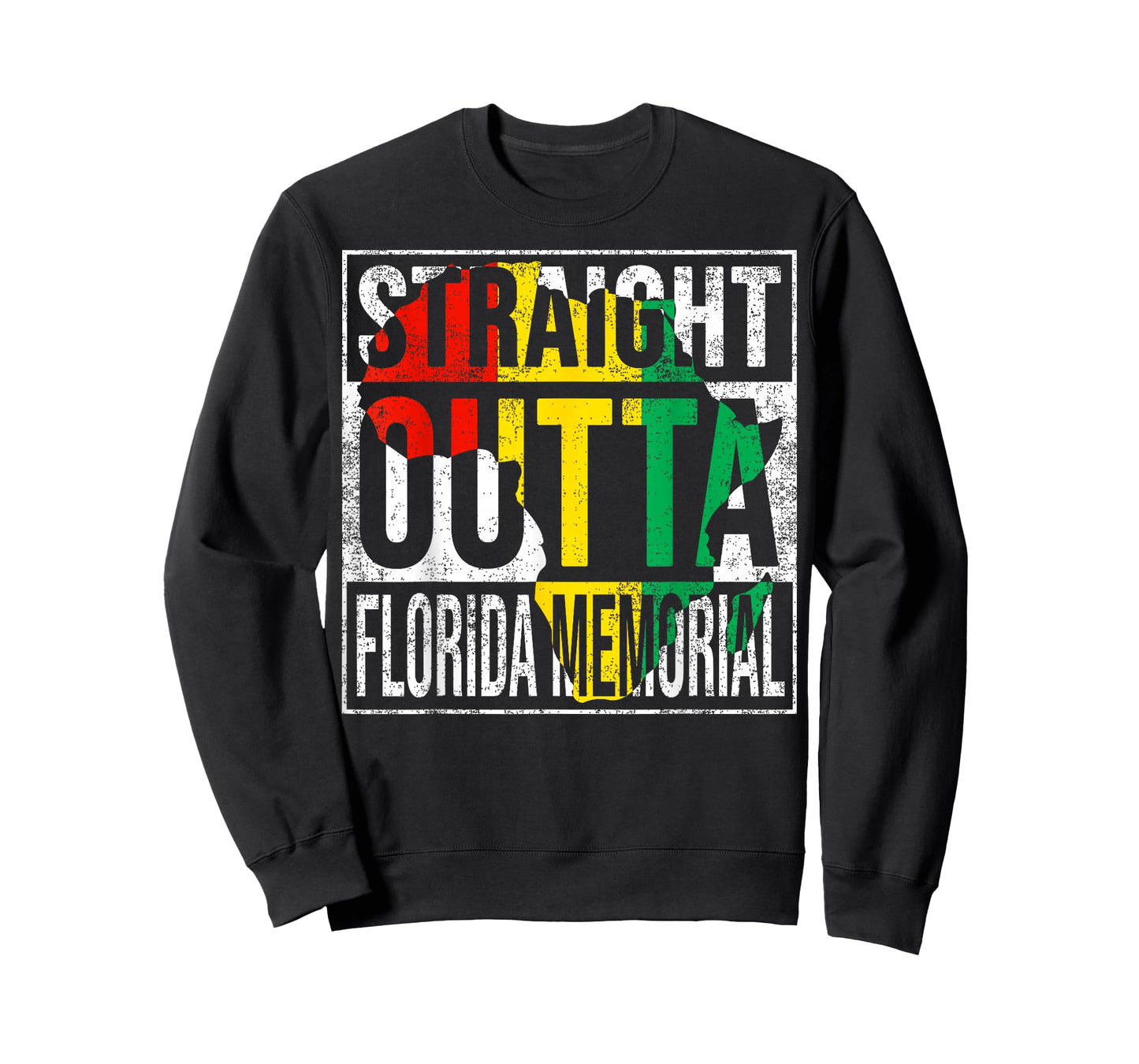 Florida Vintage Retro Memorial 142 years T-Shirt