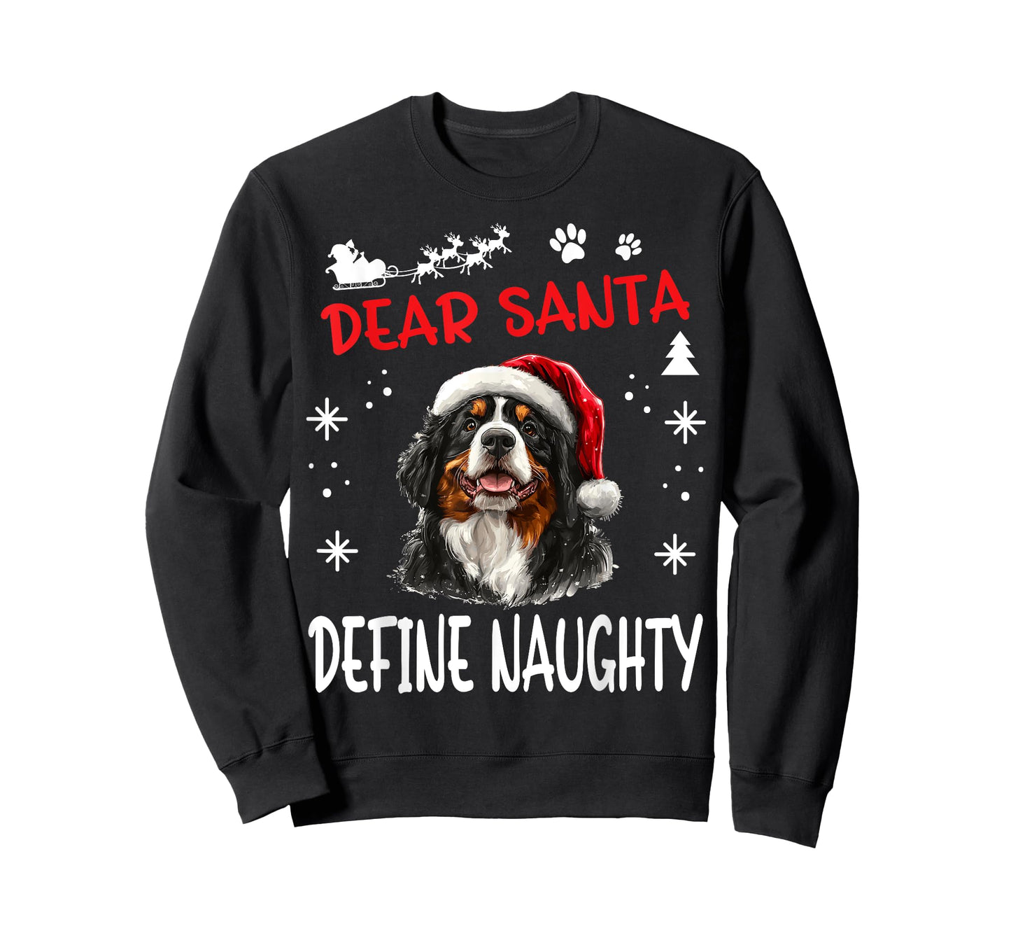 Cute Bernese Mountain Dog Christmas Dear Santa Define T-Shirt