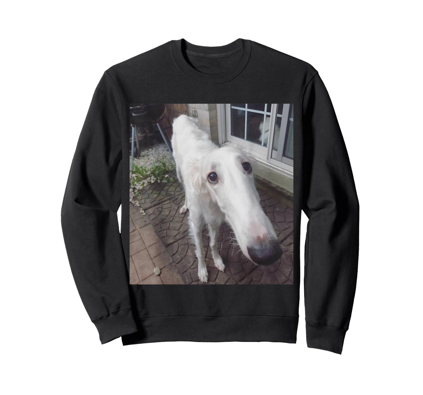Funny Borzoi Long Nose Dog Meme T-Shirt