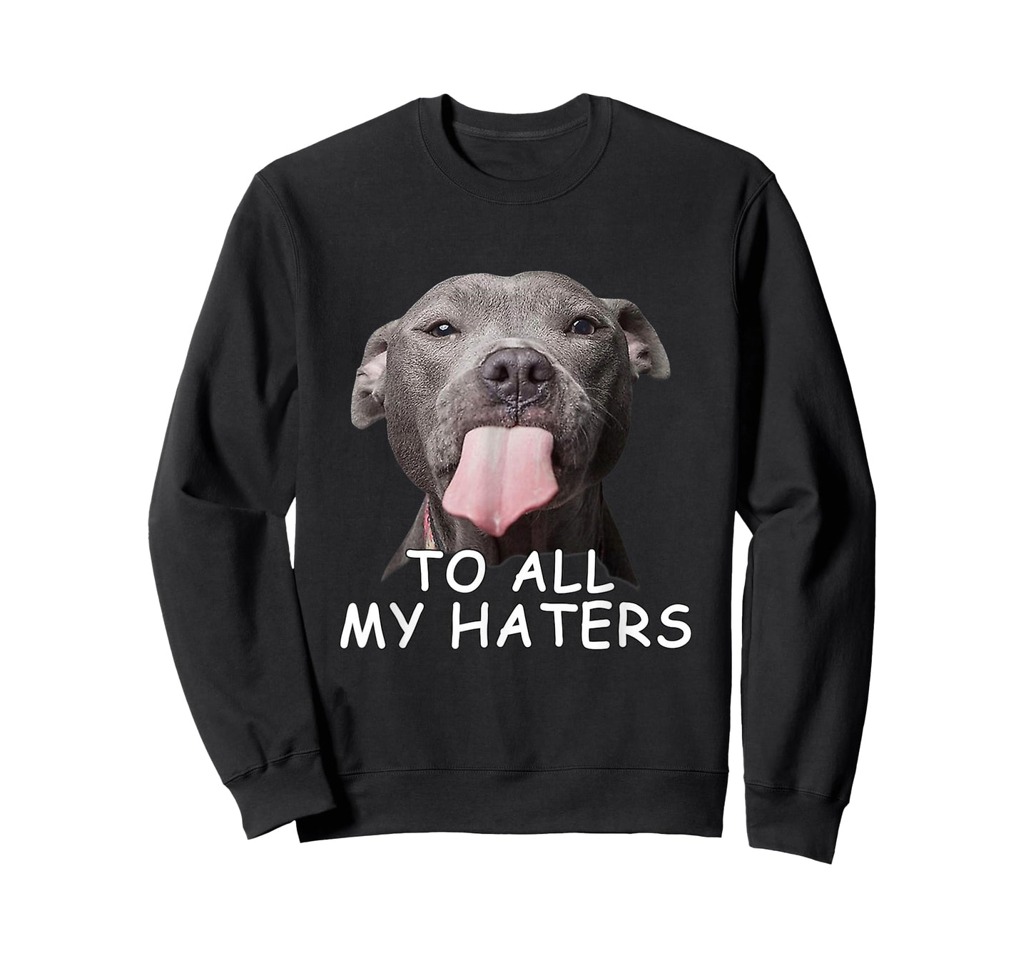 Funny Pitbull to All My Haters T-Shirt