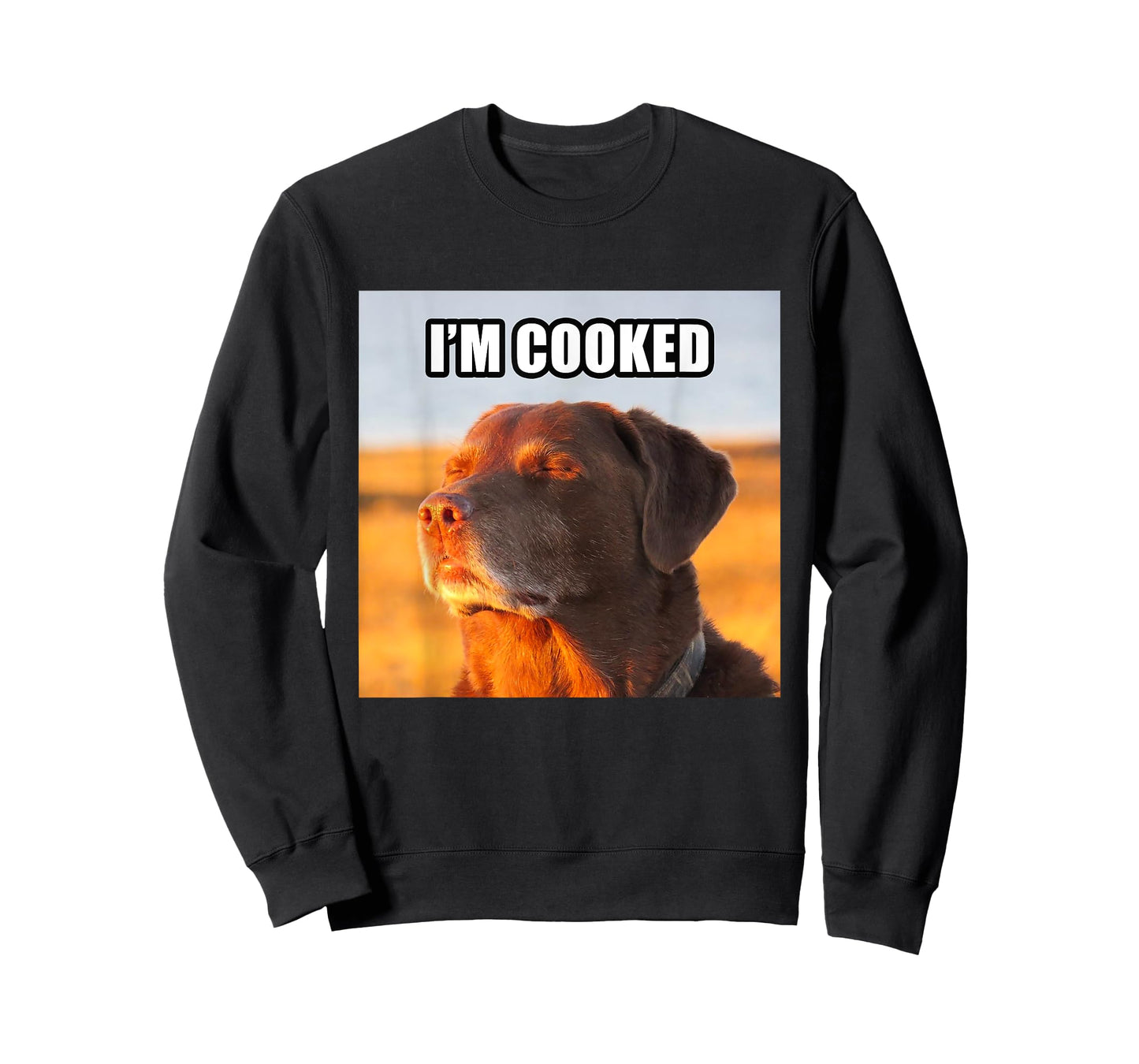 I'm Cooked Dog Funny Meme T-Shirt