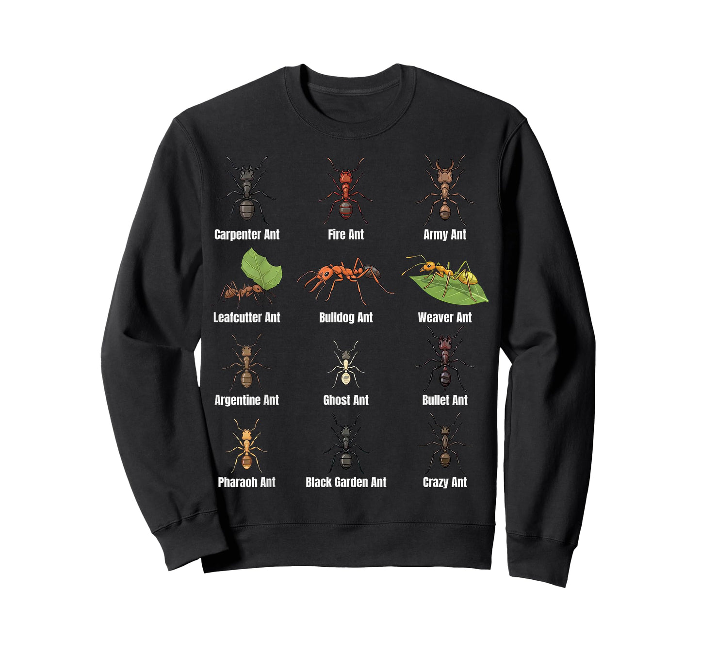 Types of Ants, Ant Species Chart, Insect Science, Entomology T-Shirt
