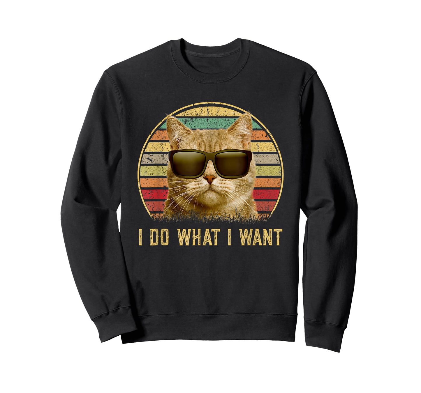 Retro 80s 90s Meowy I do what I want cat funny cat lover T-Shirt