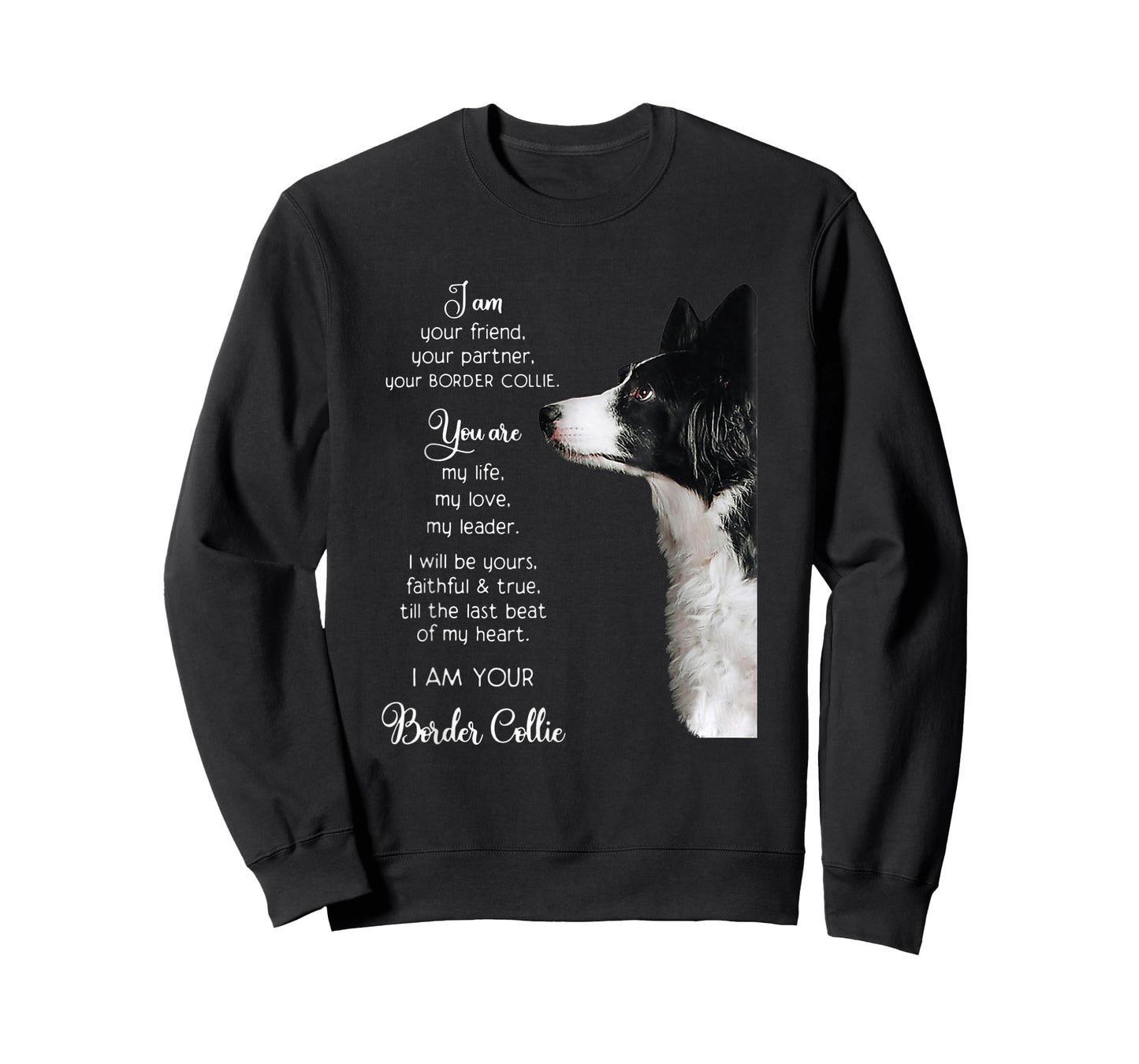 Funny I Am Your Friend Your Partner Your Border Collie Gift T-Shirt
