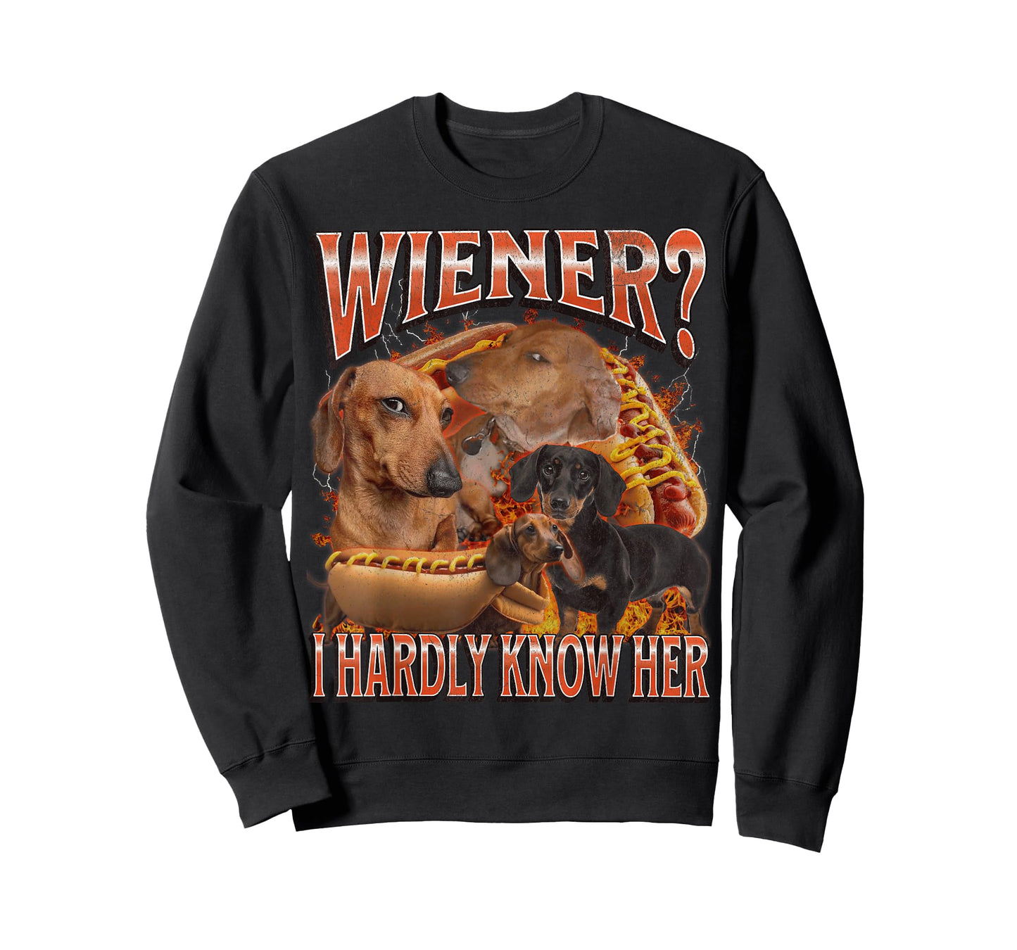 Wiener? I Hardly Know Her Funny Offensive Dachshund Bootleg T-Shirt