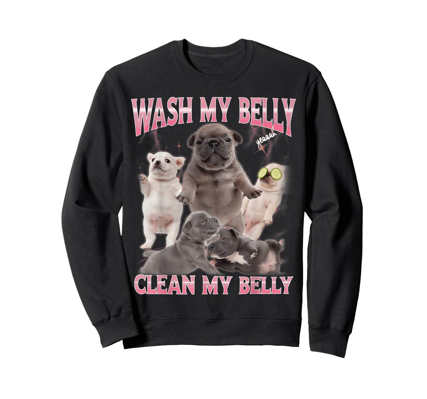Pibble Meme Wash My Belly Funny Dog Clean My Belly Meme T-Shirt